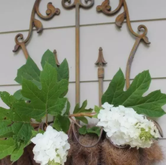 Hidden Springs Bed And Breakfast