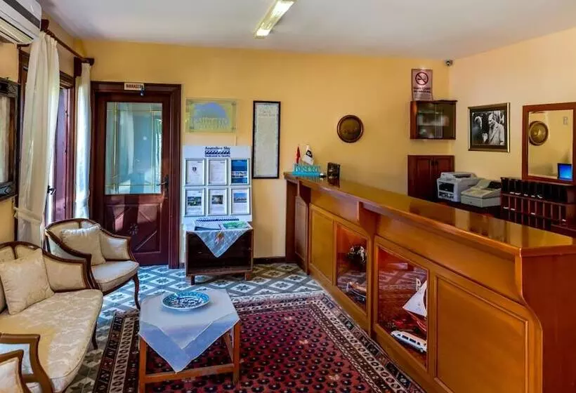 Hotel Palmetto Resort