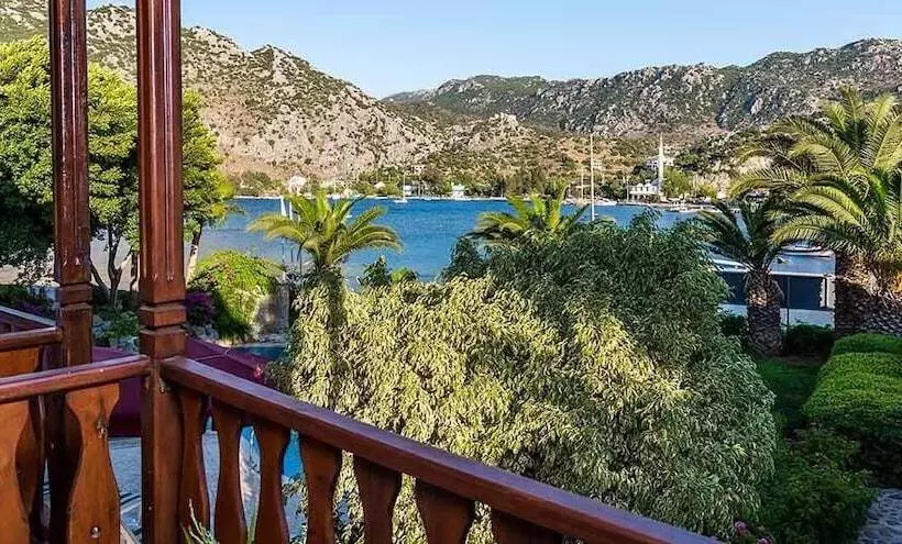 Hotel Palmetto Resort