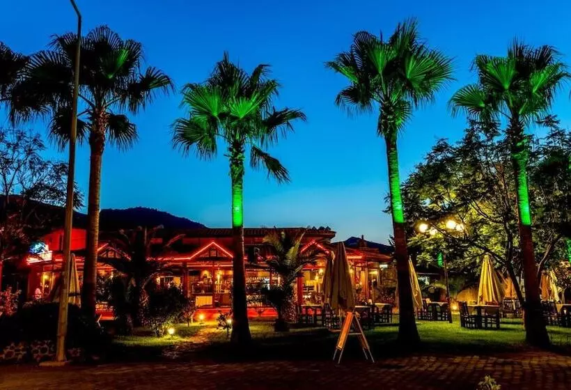 Hotel Palmetto Resort