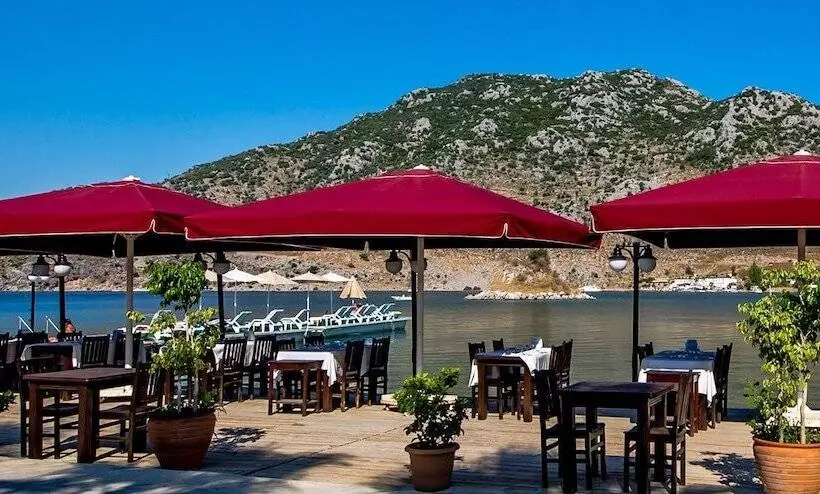 Hotel Palmetto Resort