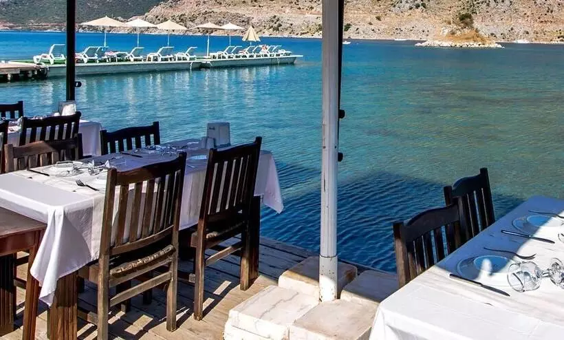 Hotel Palmetto Resort