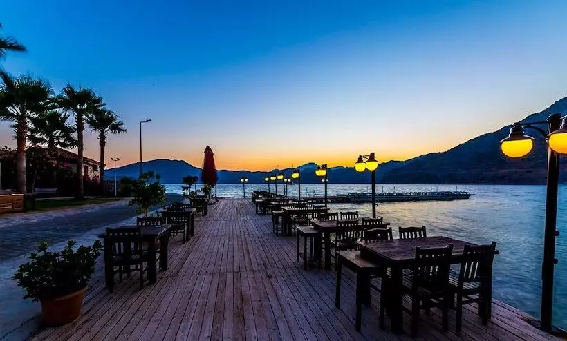 Hotel Palmetto Resort