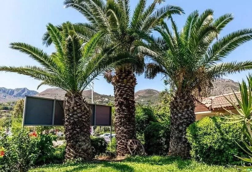 Hotel Palmetto Resort