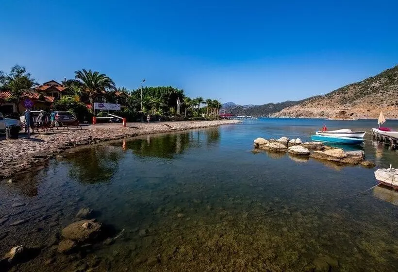 Hotel Palmetto Resort