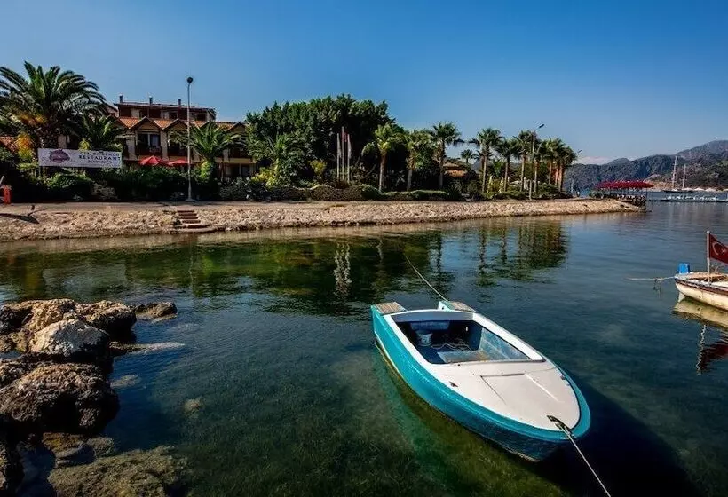 Hotel Palmetto Resort