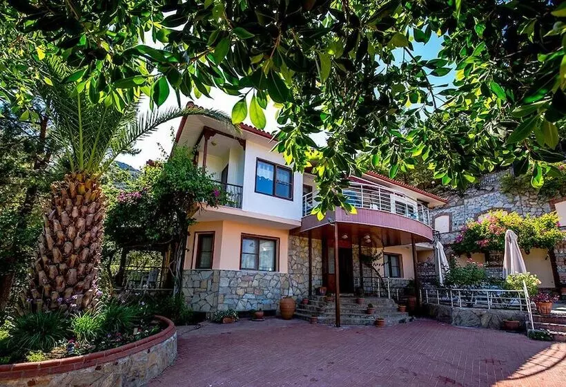 Hotel Palmetto Resort