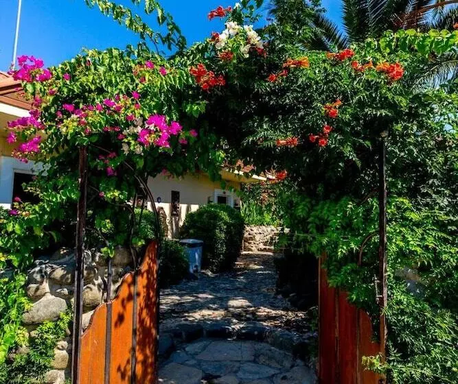 Hotel Palmetto Resort