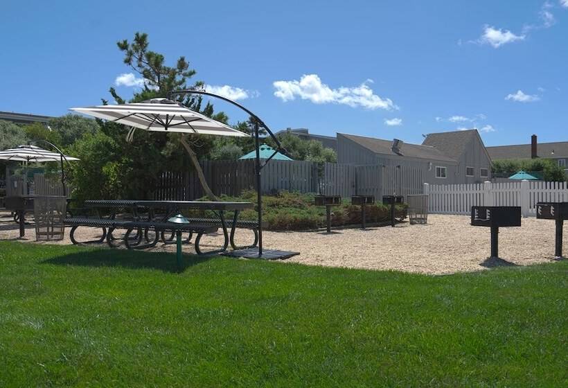 فندق Sea Crest Resort