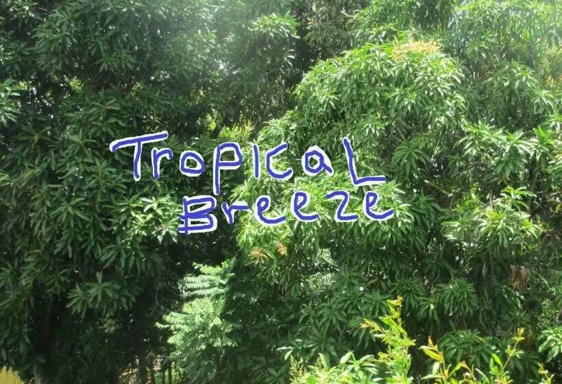 هتل Tropical Breeze Vacation Home And Apartments