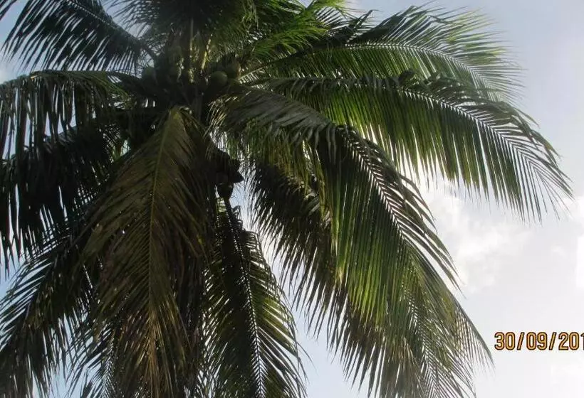 هتل Tropical Breeze Vacation Home And Apartments