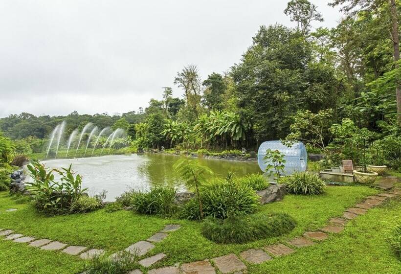 The Windflower Resorts & Spa