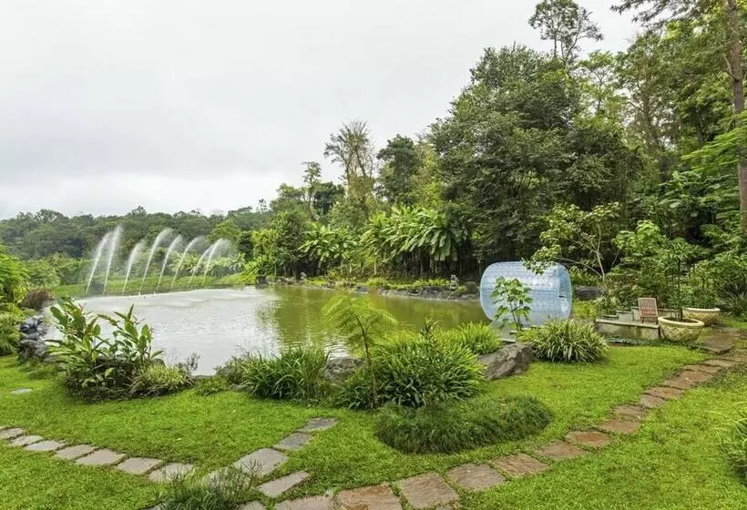 The Windflower Resorts & Spa