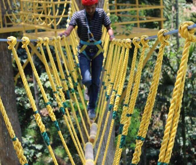 The Windflower Resorts & Spa