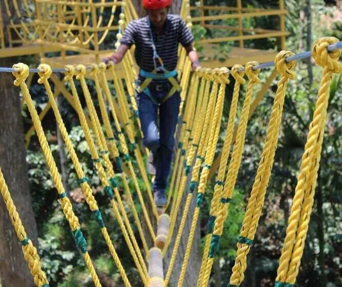 The Windflower Resorts & Spa