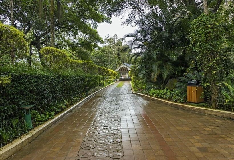 The Windflower Resorts & Spa