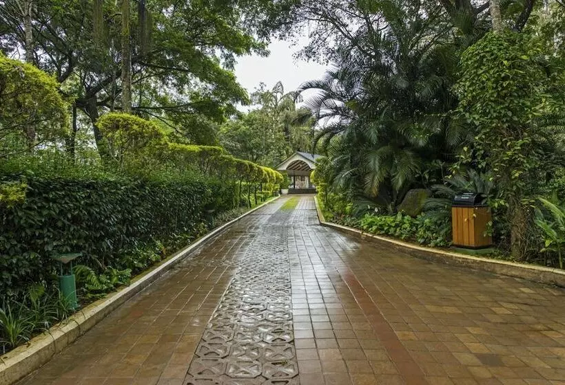 The Windflower Resorts & Spa