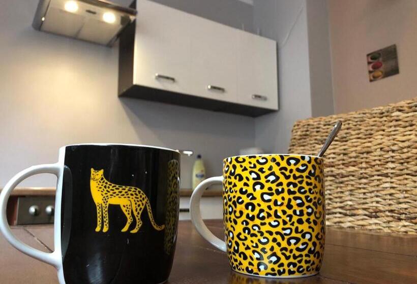 הוסטל Mazurska 8a