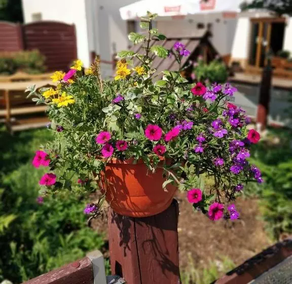 Retkeilymaja Zajazd Park