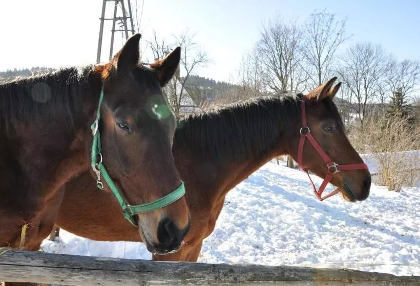 Apartamenty Rajd Jaworki