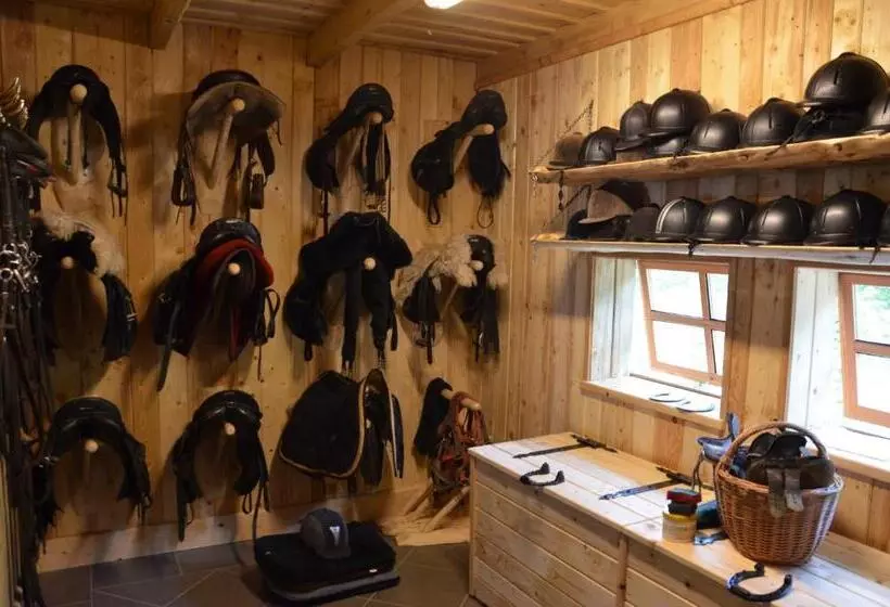 Apartamenty Rajd Jaworki