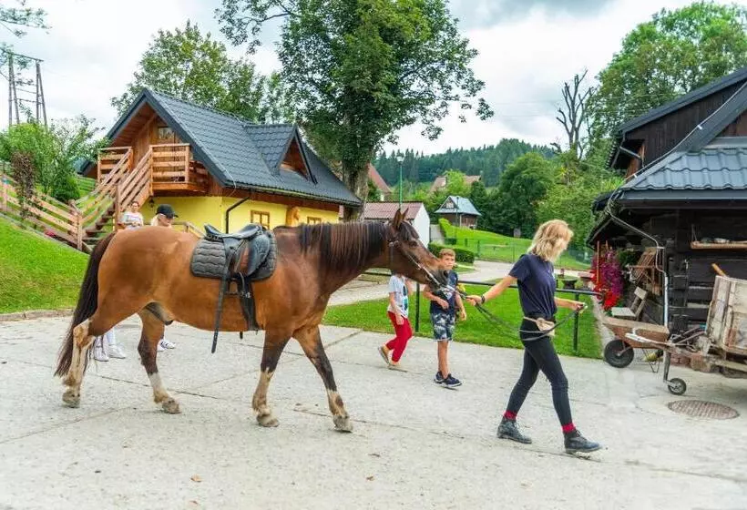 Apartamenty Rajd Jaworki