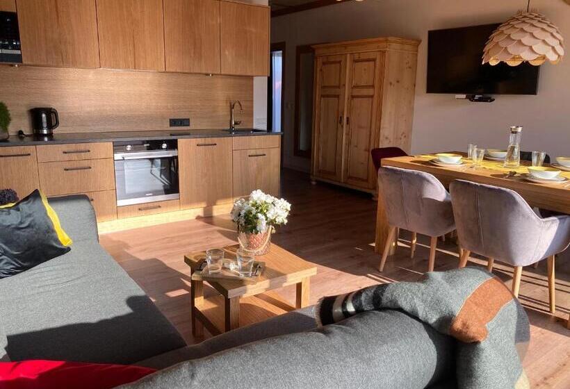 Apartamenty U Harrego Boutique Spa Z Klimatyzacja, Balkon, Sauna, Tężnia Parking