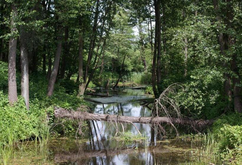Bed and Breakfast Kuźnia Pałacowa