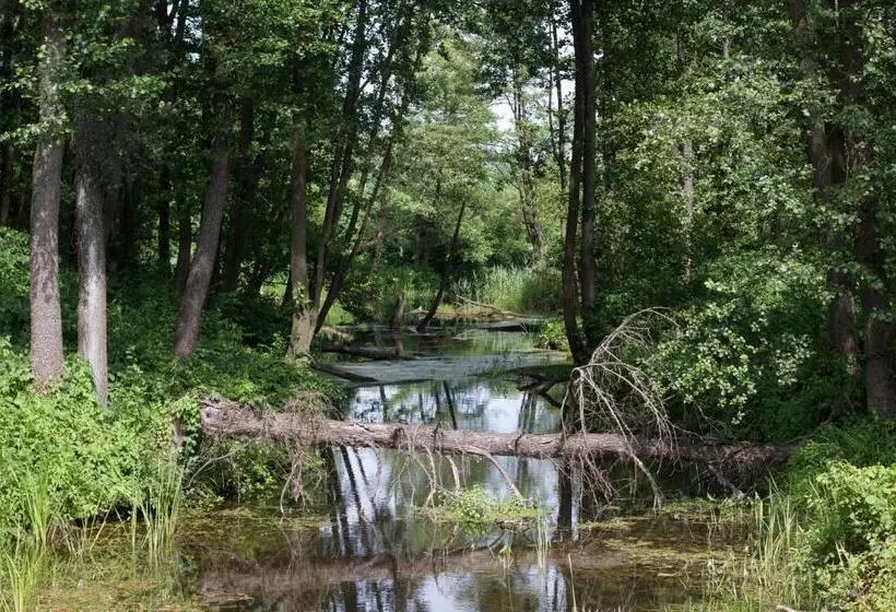 ベッドアンドブレックファースト Kuźnia Pałacowa