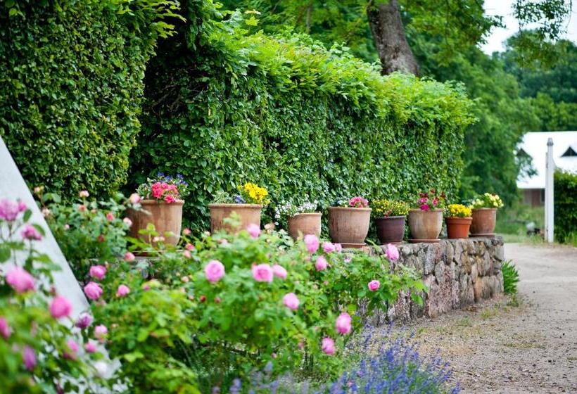 Bed and Breakfast Kuźnia Pałacowa