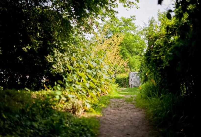 Bed and Breakfast Kuźnia Pałacowa