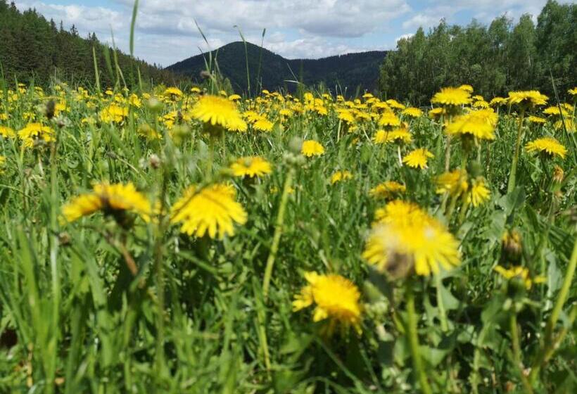 مبيت وإفطار Orańska