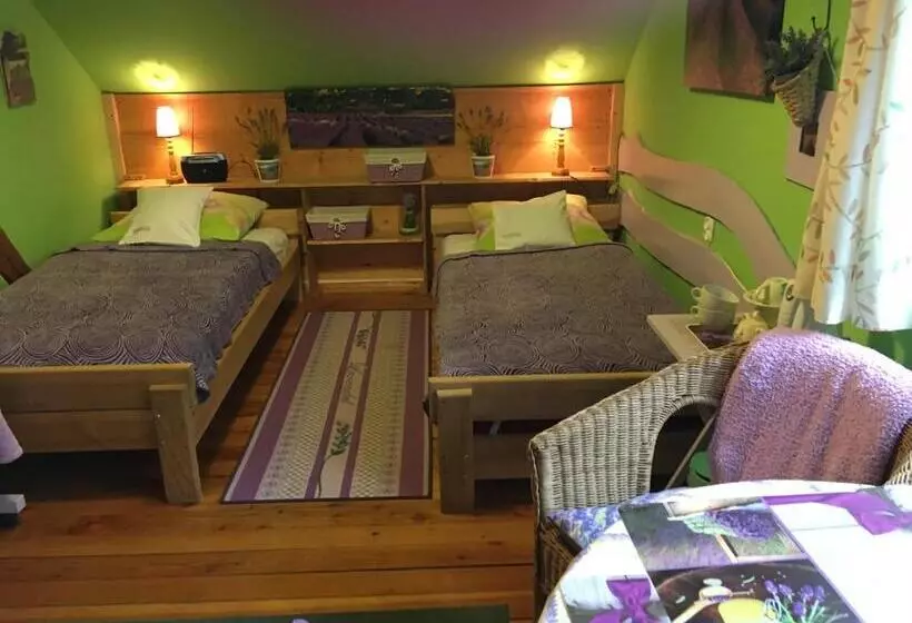 Aamiaismajoitus (B&B) Ranczo Frodyma