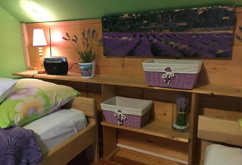 Bed and Breakfast Ranczo Frodyma