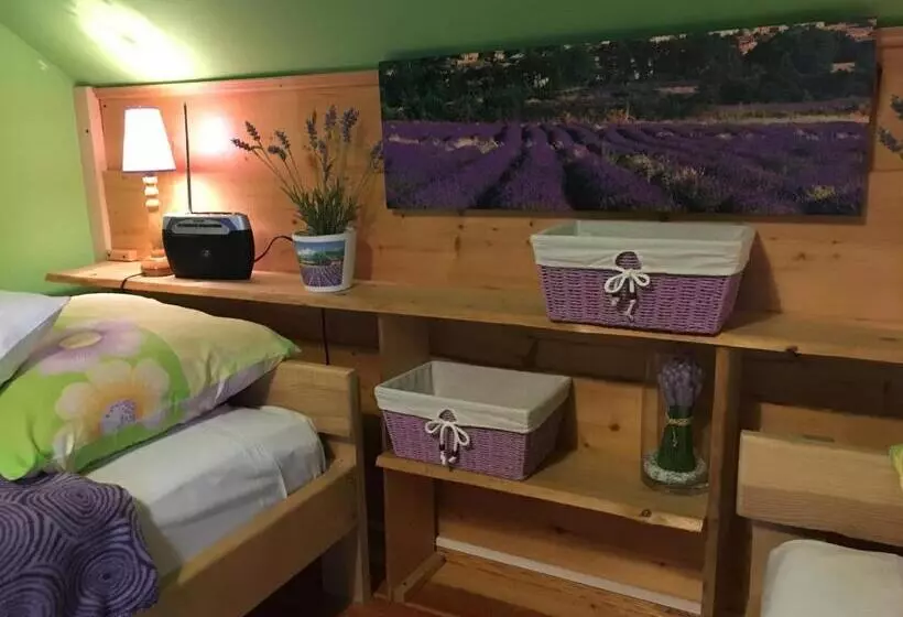 Aamiaismajoitus (B&B) Ranczo Frodyma