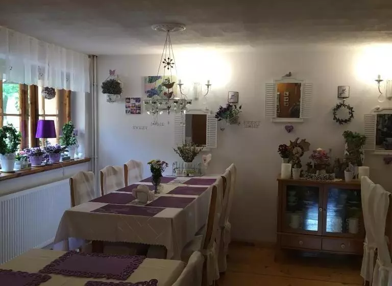 Aamiaismajoitus (B&B) Ranczo Frodyma