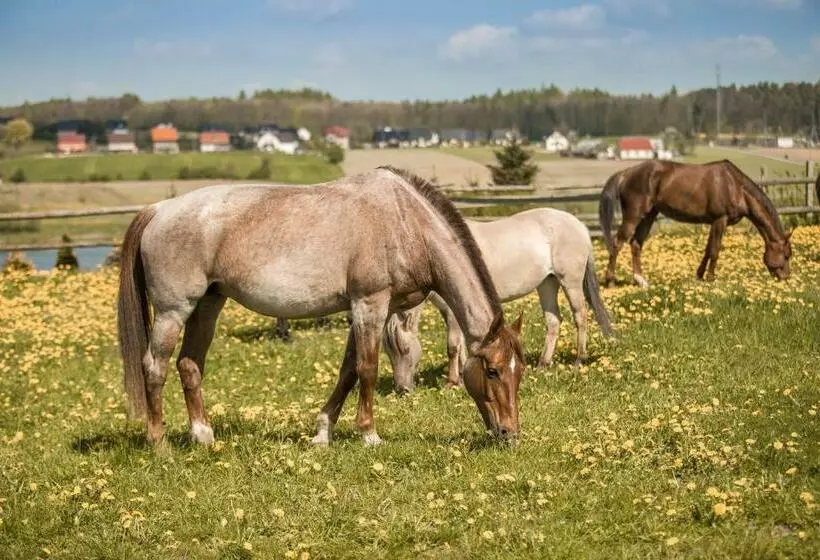 Aamiaismajoitus (B&B) Urychertow