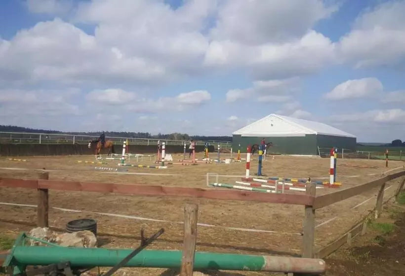 Aamiaismajoitus (B&B) Urychertow