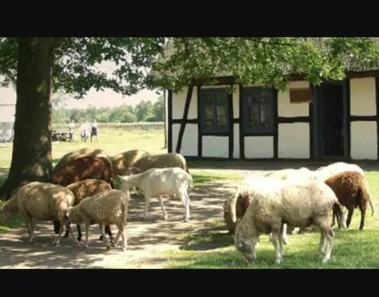 ホテル Agroturystyka Pod Dębami W Klukach