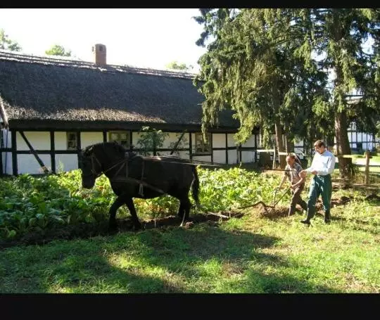 ホテル Agroturystyka Pod Dębami W Klukach
