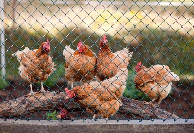 בית מלון כפרי Agroturystyka Pod Pstrągiem