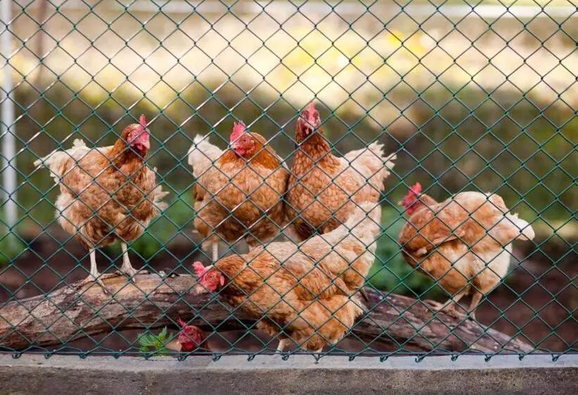 Hotelli Agroturystyka Pod Pstrągiem