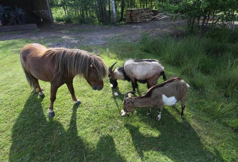 בית מלון כפרי Agroturystyka Pod Pstrągiem