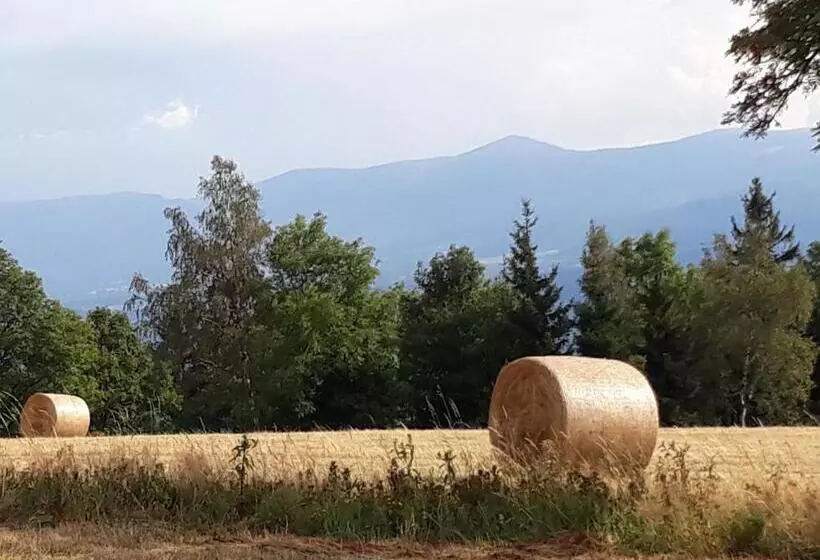 ホテル Agroturystyka łysa Góra
