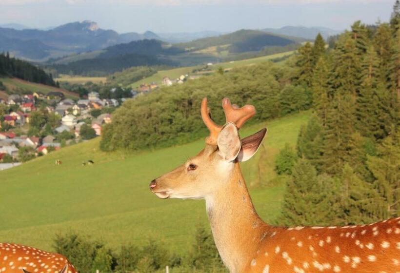 فندق łapszańska Ostoja