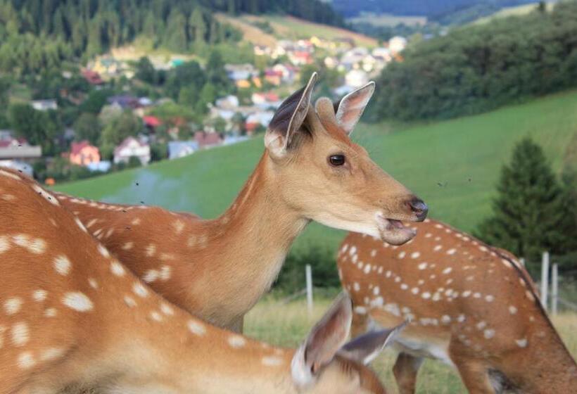 فندق łapszańska Ostoja