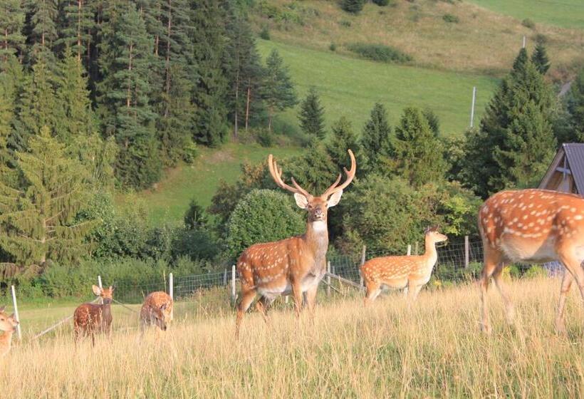 فندق łapszańska Ostoja