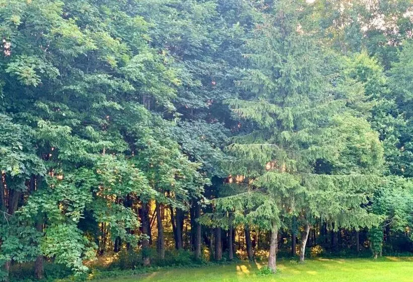 ホテル Gajówka