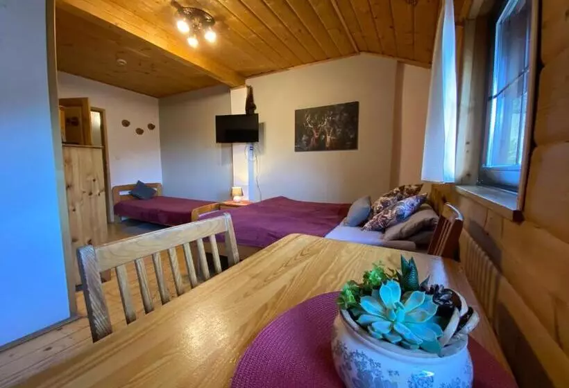 ペンション Gościniec Salmopolski