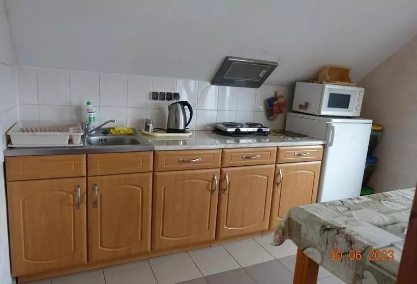 ペンション śnieżynka